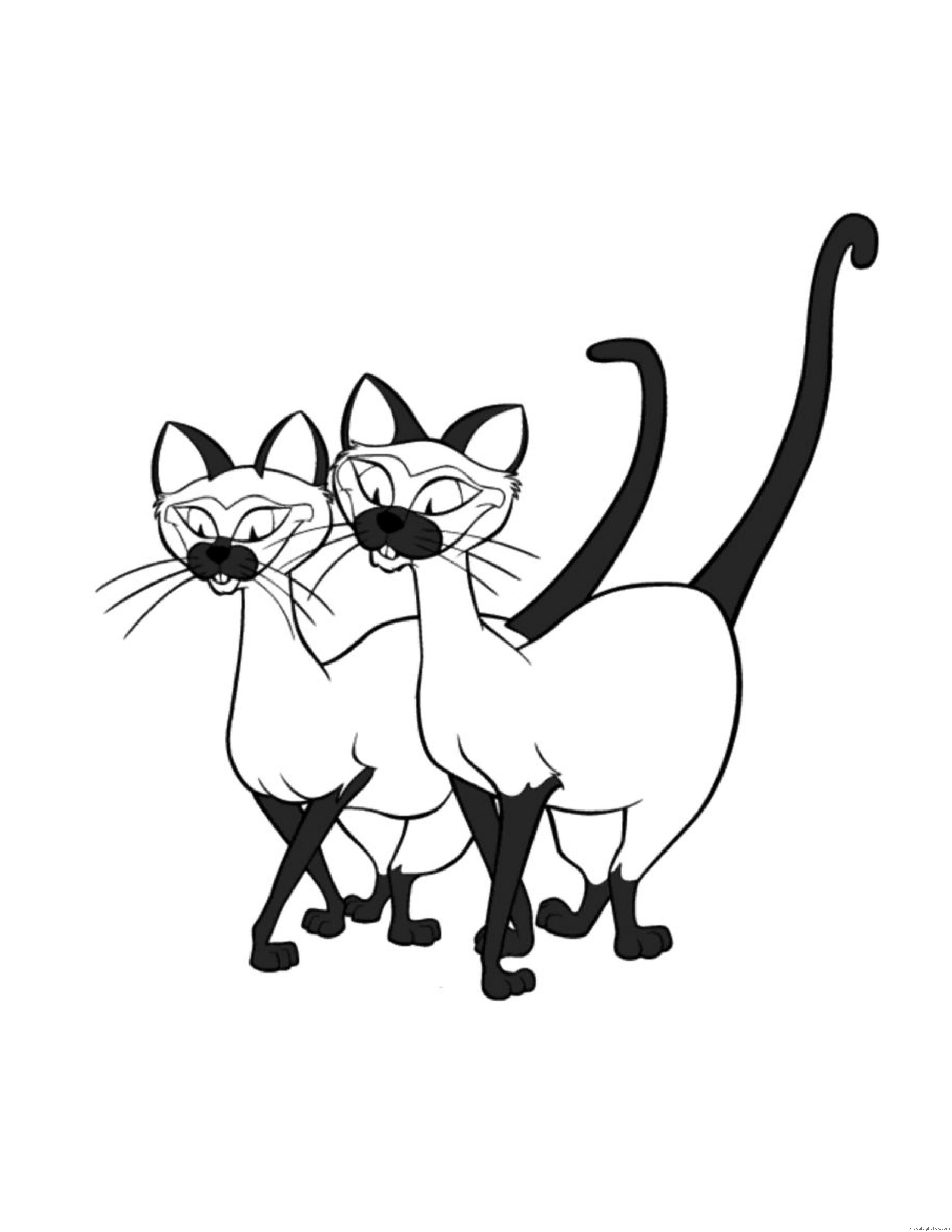 2 Кота Рисунок